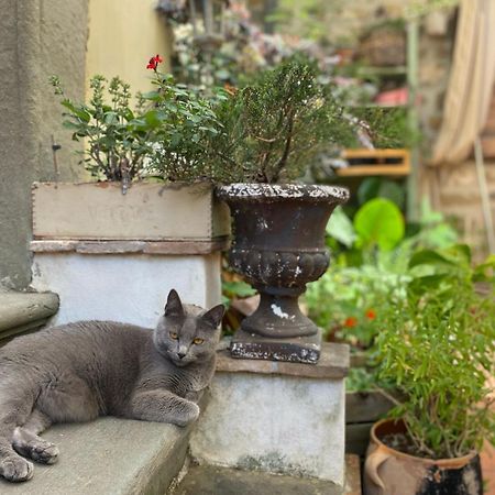La Magione Dei Todaro Borgo a Buggiano Exterior foto